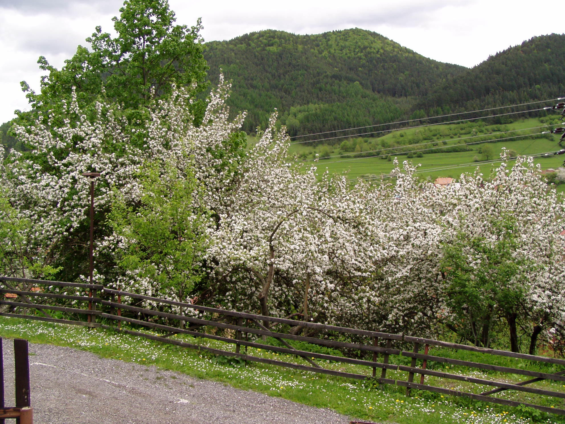 zima, vianoce 2005, jar 2006 001.jpg